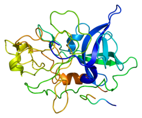 Image illustrative de l’article Urokinase