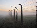 V miejsce Brzezinka. Auschwitz-Birkenau. Autor: Jacek7770