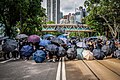 On Causeway Road between Hong Kong Central Library and Victoria Park, demonstrators formed an umbrella array.