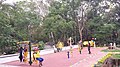 An open gym for use by the general public inside Bugle Rock park