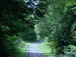 McCollum Road in Farmington Township