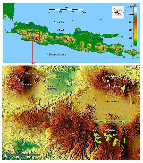 Junghuhns letztes Lebenswerk: Chinchona-Plantagen in Westjava. Die hellgrün eingetragenen Plantagen wurden aus einer 1925 veröffentlichten Touristenkarte übertragen. Die Chinchona-Pflanzungen auf dem Nordosthang des Vulkans Gunung Gedé wurden nach Junghuhns Rückkehr aufgegeben. – Als „krönender Abschluss“ eines prachtvollen Ziergartens wurde vor dem Eingang zur Chinchona-Plantage Cinyiruan eine überlebensgroße goldschimmernde Junghuhn-Büste auf einem Marmorsockel errichtet. Auf dem Sockel ist ein Schild mit Erläuterungen über Junghuhn montiert, die jedoch teilweise abgeblättert sind.