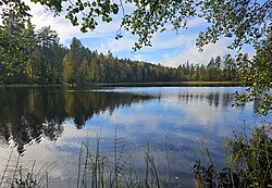 Kauratun pohjoispuolella sijaitseva Mertjärvi.