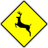 Deer or wild animals