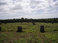 Image 25Boscawen-Un stone circle looking north (from Culture of Cornwall)