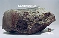 ALH 84001 martian meteorite