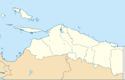 Gempa bumi Papua 2010 di Papua