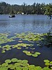 Kodaikanal Lake