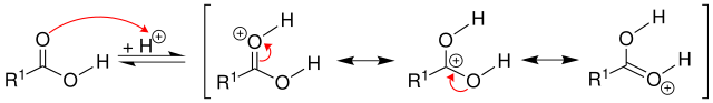 Mechanismus 1 Veresterung