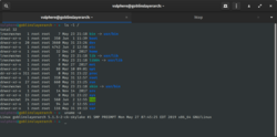 Screenshot von Gnome Terminal