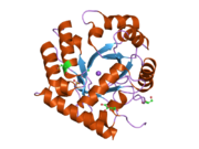 2p1f: Human UMP Synthase (C-terminal Domain-Orotidine 5'-Monophosphate Decarboxylase)