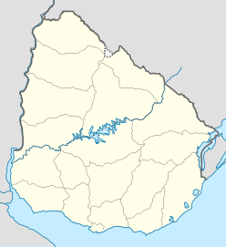 Colonia repülőtér (Uruguay)