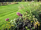 Bloom garden on the island I.