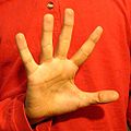 a form of the palm in which all fingers are fully extended and spread apart.