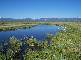 Oregon, Wood River