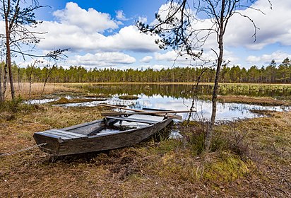 2017 års vinnarbild: Knuttjärnen skapad av Vivo. Röstsidan med alla kandidater.