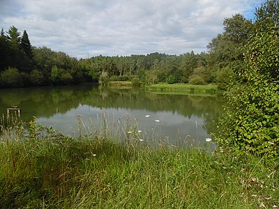 Künstlich angelegter Weiher am Oberlauf des Boulous bei Saint-Angel