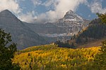 Aspens below mountains in fall.