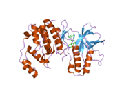 1ywr: Crystal structure analysis of inactive p38 kinase domain in complex with a monocyclic pyrazolone inhibitor