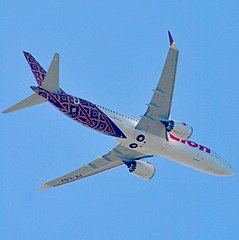 The 737 MAX has larger CFM LEAP engines with chevrons, mounted even further ahead of the wing