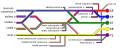 Brachial plexus with courses of spinal nerves shown