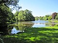 Zufluss der Salze (links) in den Kurparksee in Bad Salzuflen