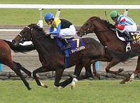 2005年10月23日、京都競馬場にて、菊花賞