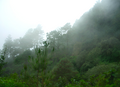 Sierra Sur de Oaxaca