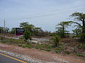 Banjul-Serekunda Highway