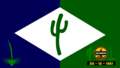 Bandeira de Olivedos