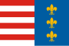 Bandeira de Bistrița