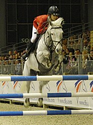 Show jumping, 2013