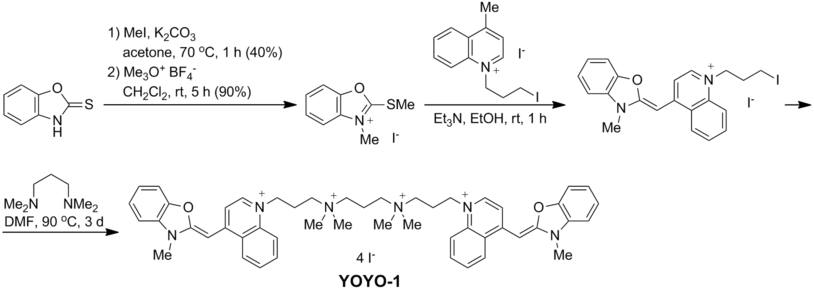 YOYO-1 synthesis