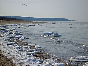 Strand am Long Island Sound