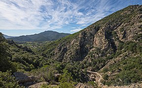 Végétation à l'extrémité sud des gorges d'Héric (Hérault).