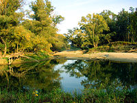 Nationalpark Donauauen