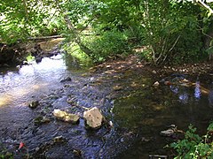 Photo du lit d'une rivière peu profonde jonchée de cailloux.