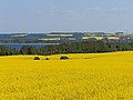 Landschaft an der Wohlenberger Wiek