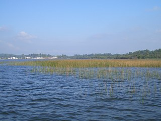 Berges du lac