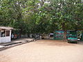 Das Heilige Krokodilbecken von Kachikally, Bakau