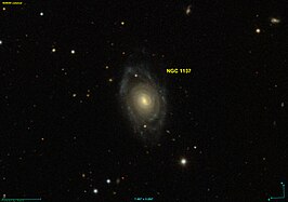 NGC 1137