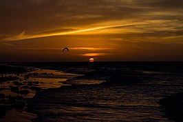 Het strand in Camocim