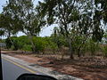 Banjul-Serekunda Highway