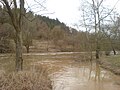 Mündung bei leichtem Hochwasser am 25. Februar 2010