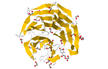 Protein KLHL7 PDB 3II7.png