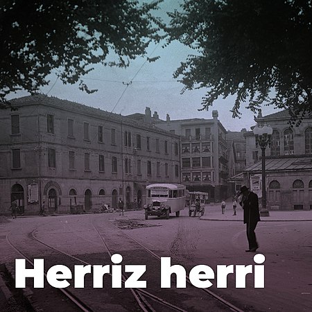 Euskal Herriko bidaia-gida/Herriz herri