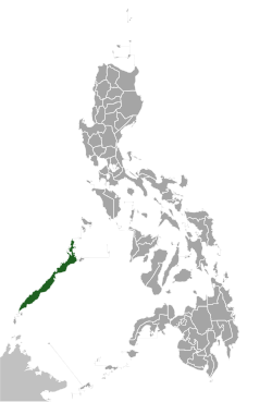 Distribución del faisán de espolones de Palawan