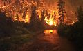 Image 2Elk Bath, an award-winning photograph of elk avoiding a wildfire in Montana (from Wildfire)