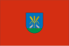 Lizoainibar bandera