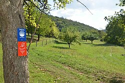 Panoramaweg Liebliches Taubertal